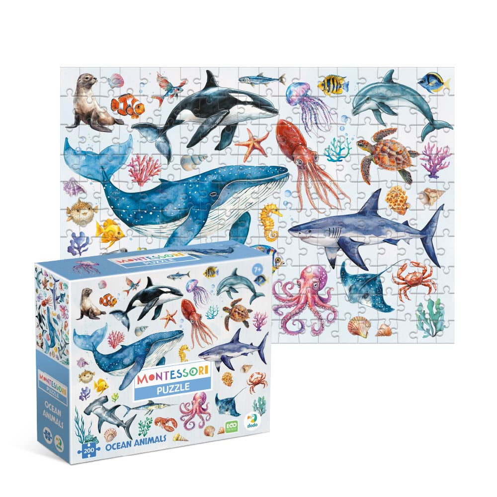 11146145f1219b1b5a04361c0cc6518e