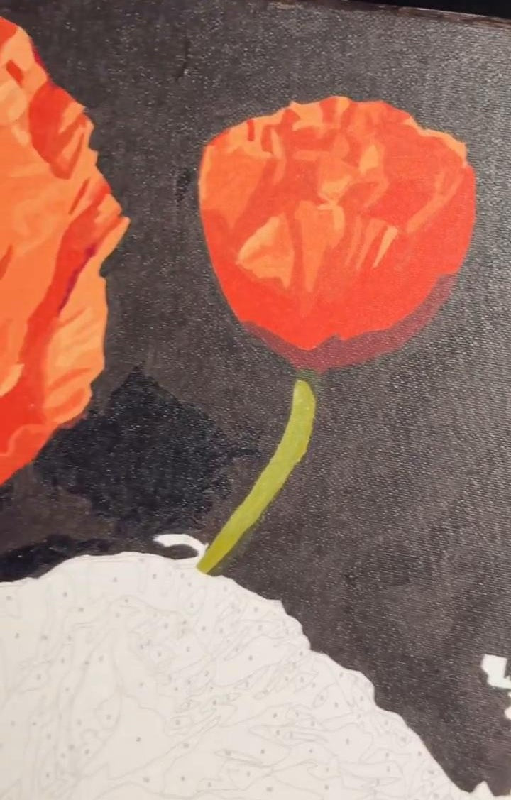 Zestaw kreatywny Obraz Malowanie po numerach 40×50 cm Sztaluga CZERWONE MAKI