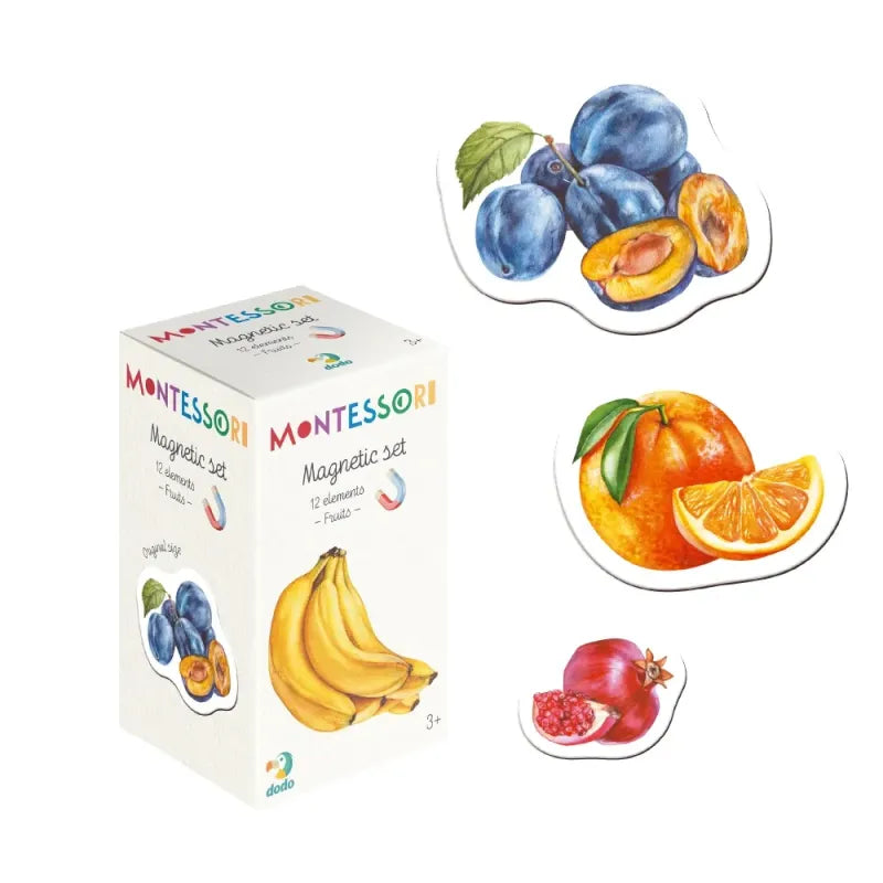 Zestaw magnesów Montessori „Owoce”