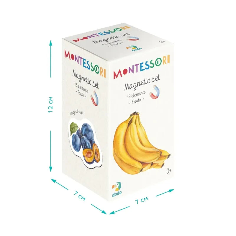 Zestaw magnesów Montessori „Owoce”