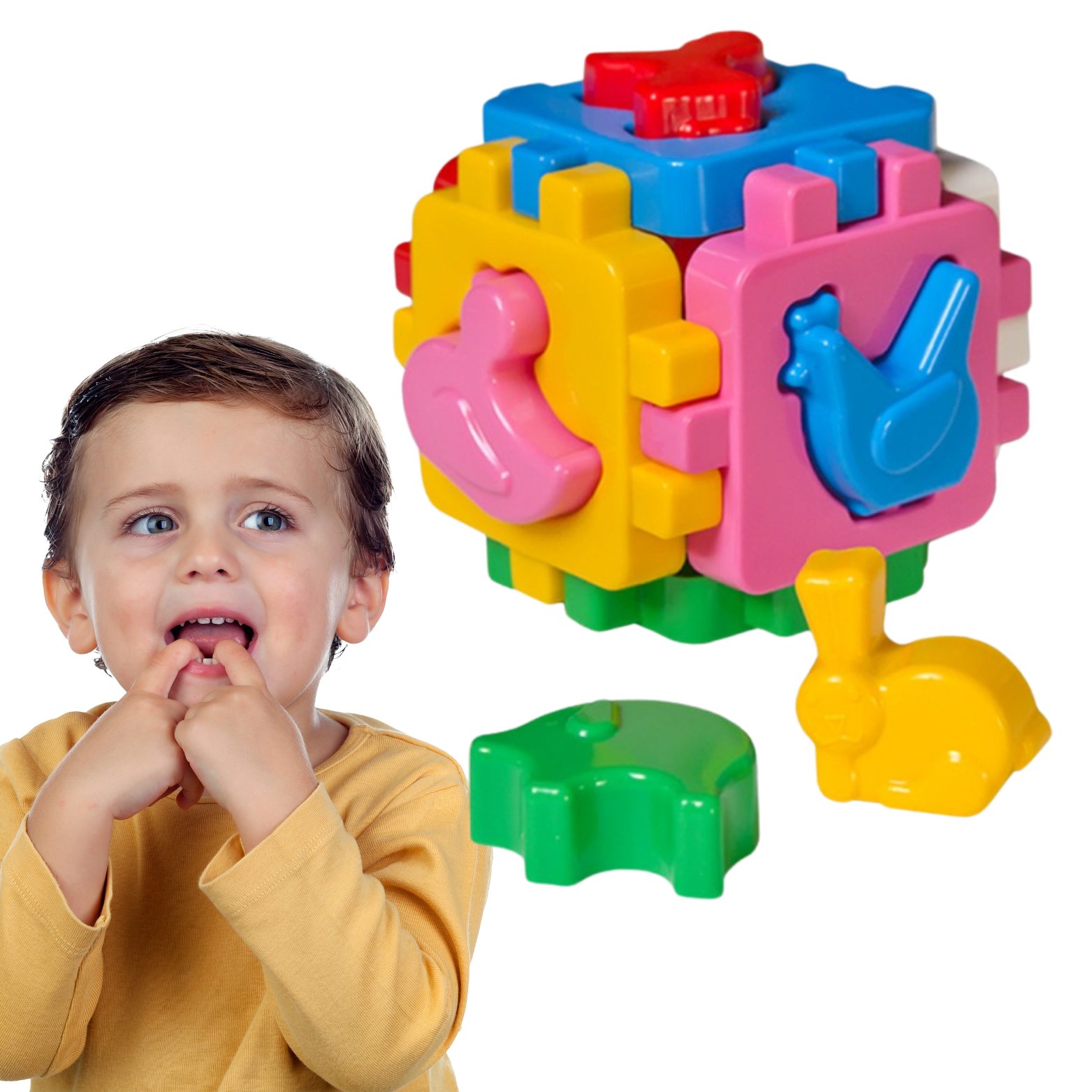 e6b9ccf99365206f0938cec95d46975c