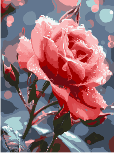 QB900-058 Set for painting by numbers "Rose on a r