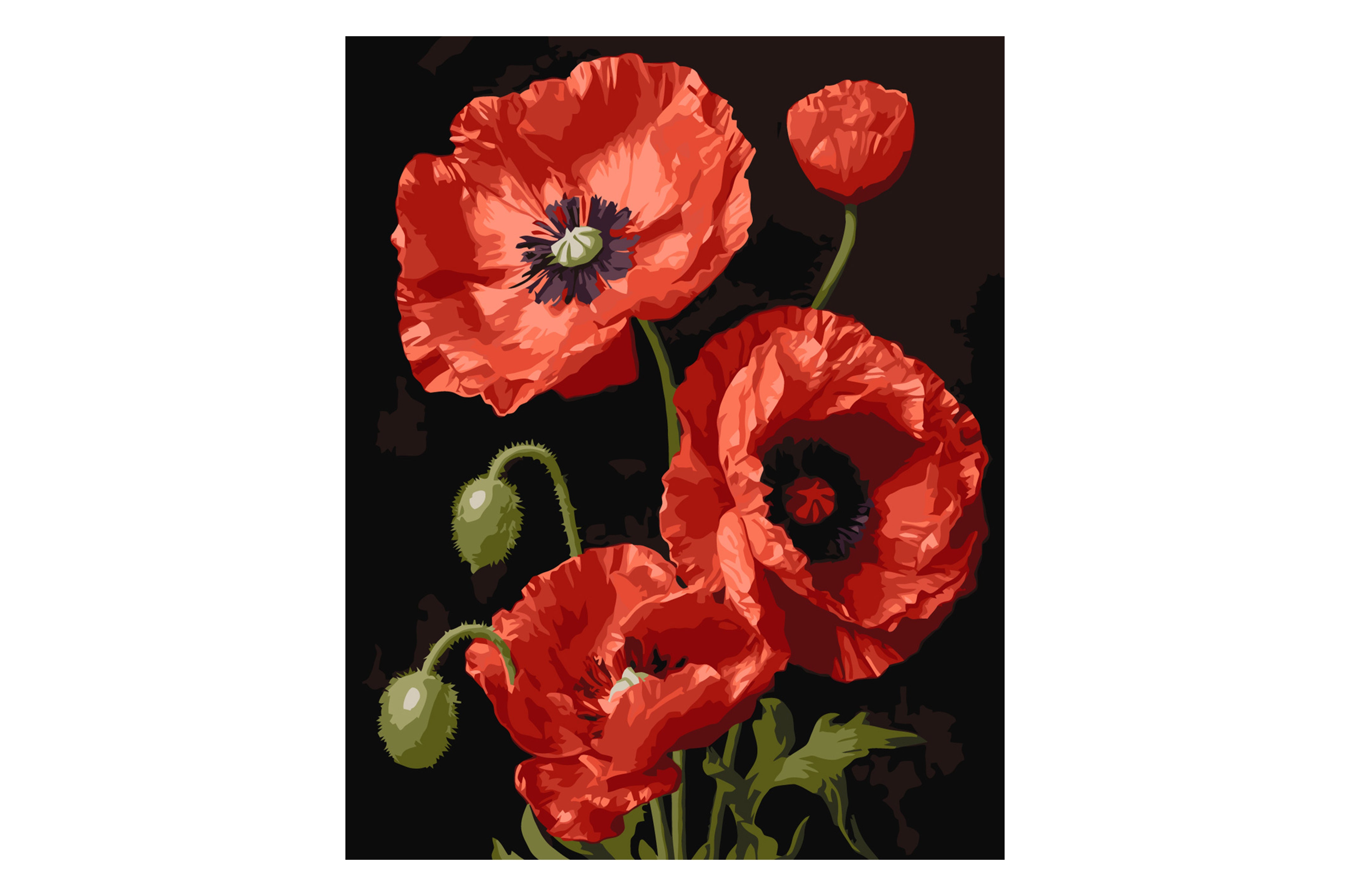 Zestaw kreatywny Obraz Malowanie po numerach 40×50 cm Sztaluga CZERWONE MAKI